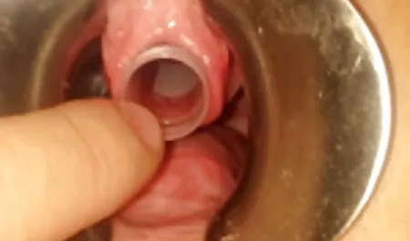 Amatir cewek makan pukas bokep barat vs asian